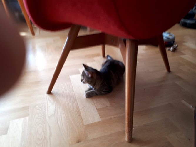 20261003_120814.jpg